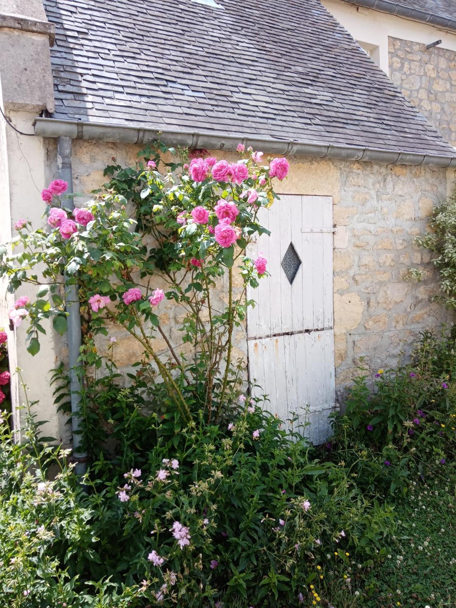 Bed and breakfast Rose Garden Bayeux Extérieur photo