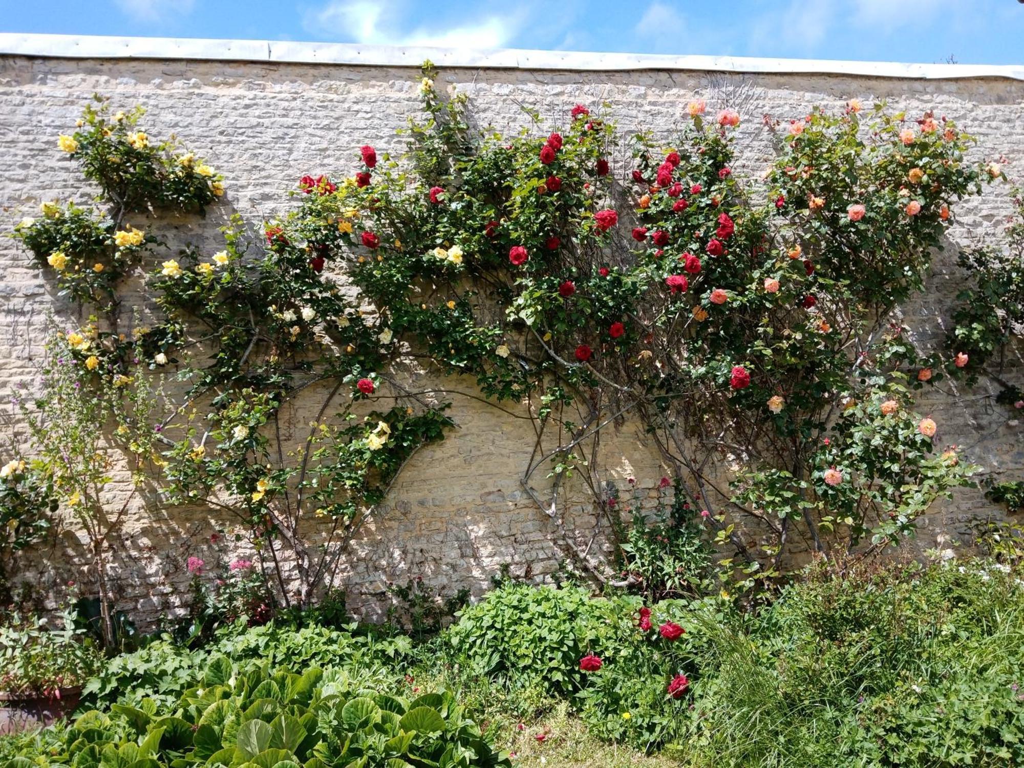 Bed and breakfast Rose Garden Bayeux Extérieur photo